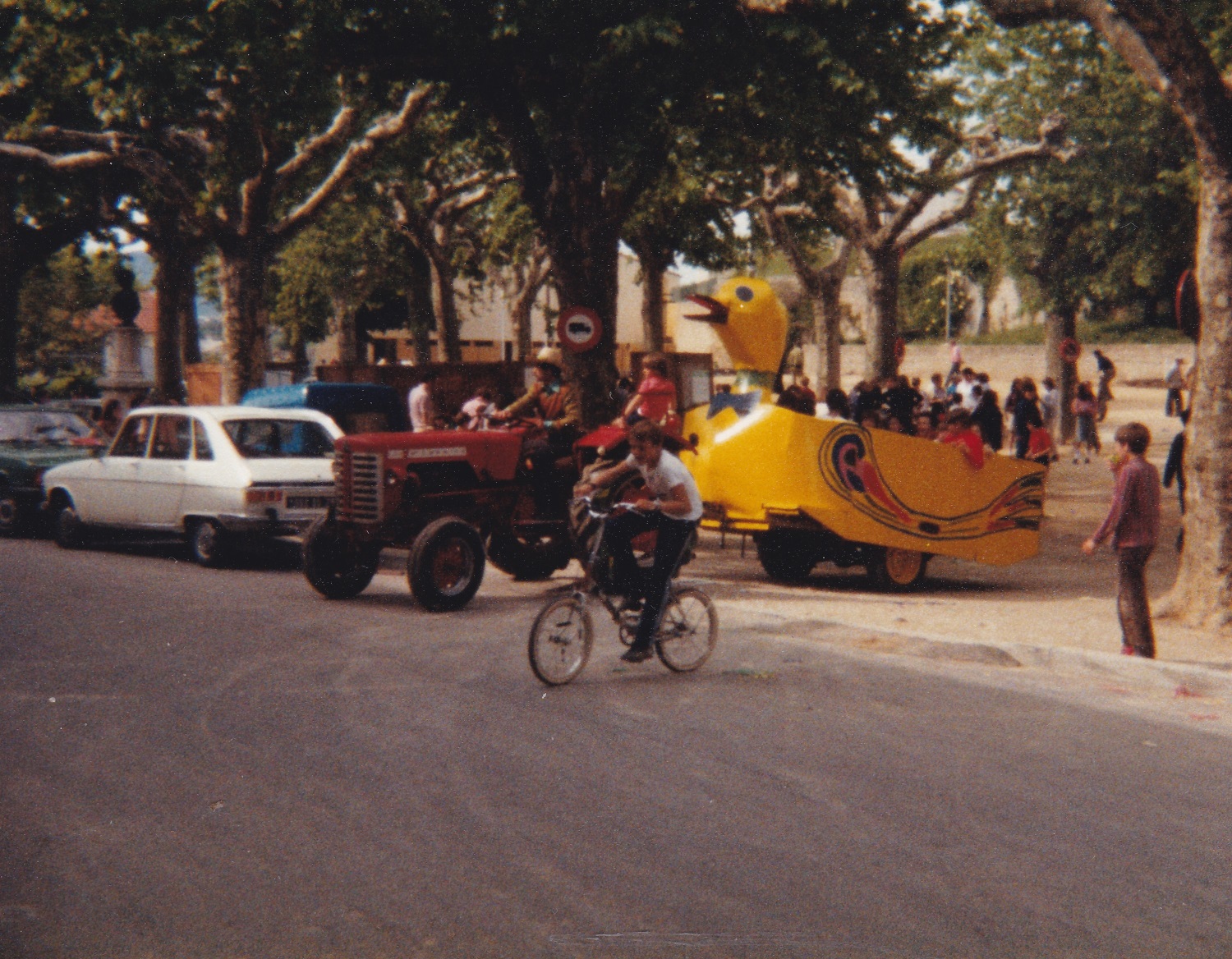 Canard boiteux d'Etoile