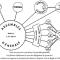 Schema communautaire